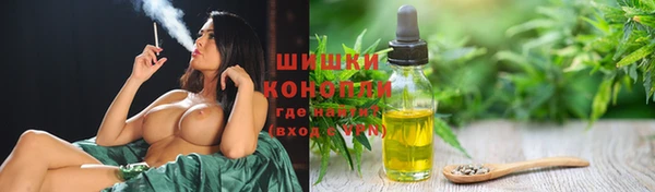 спайс Баксан