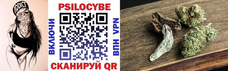 Псилоцибиновые грибы ЛСД  блэк спрут маркетплейс  Ветлуга 
